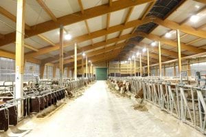 Світлодіодне освітлення для стайні та ферми