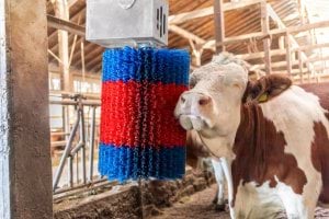 Щітки-чесалки для тварин