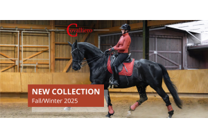 Fall/Winter 2025 Collection by Covalliero