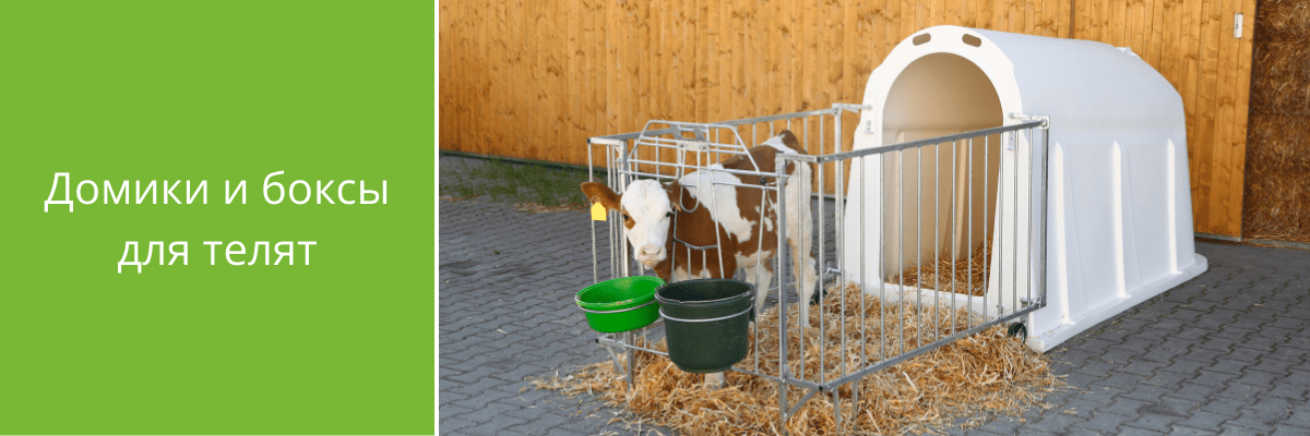 Домики и боксы для телят