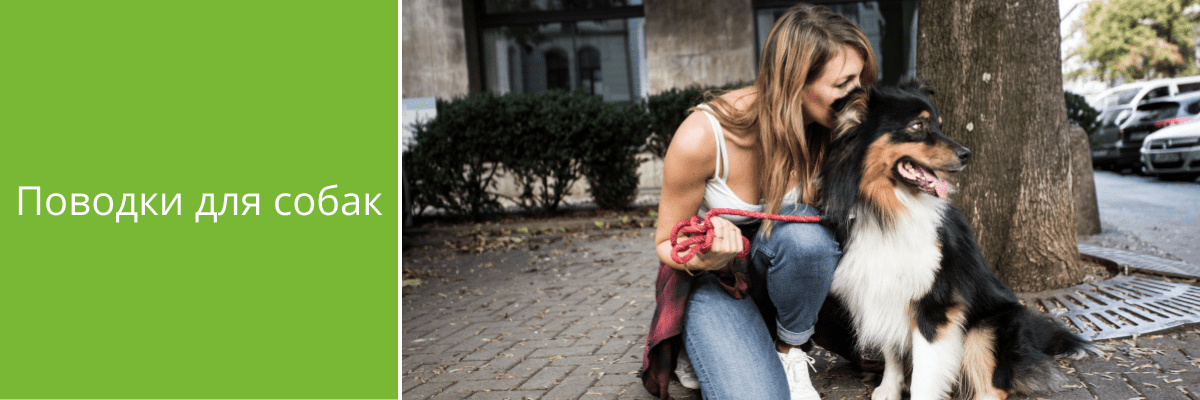 Поводки