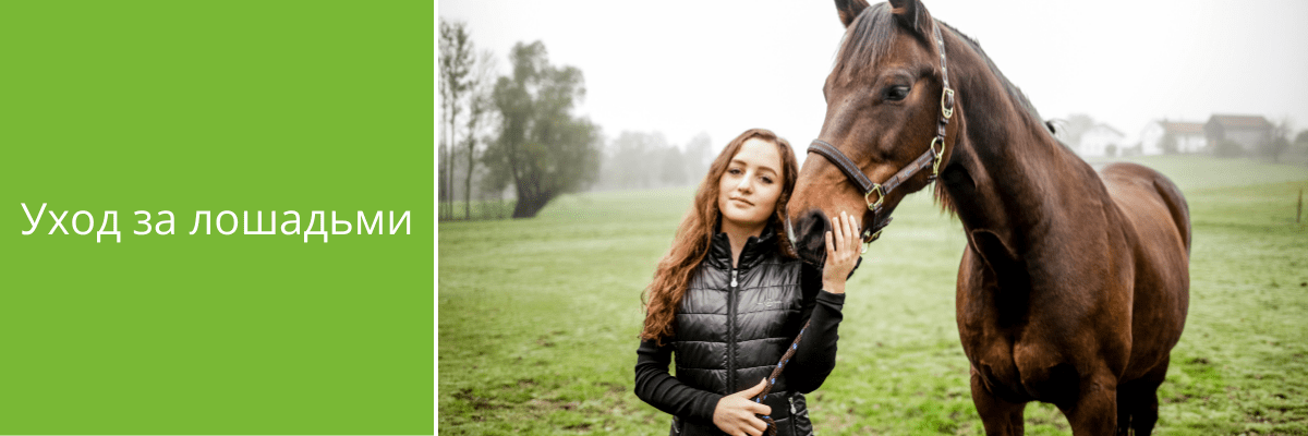 Продукты для ухода