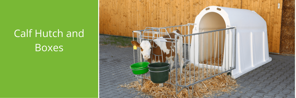 Hutches and calf pens