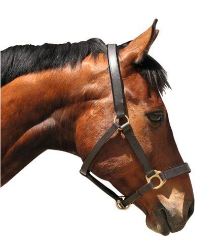 Недоуздок для лошади Eco, кожаный, коричневый, размер Pony, Covalliero