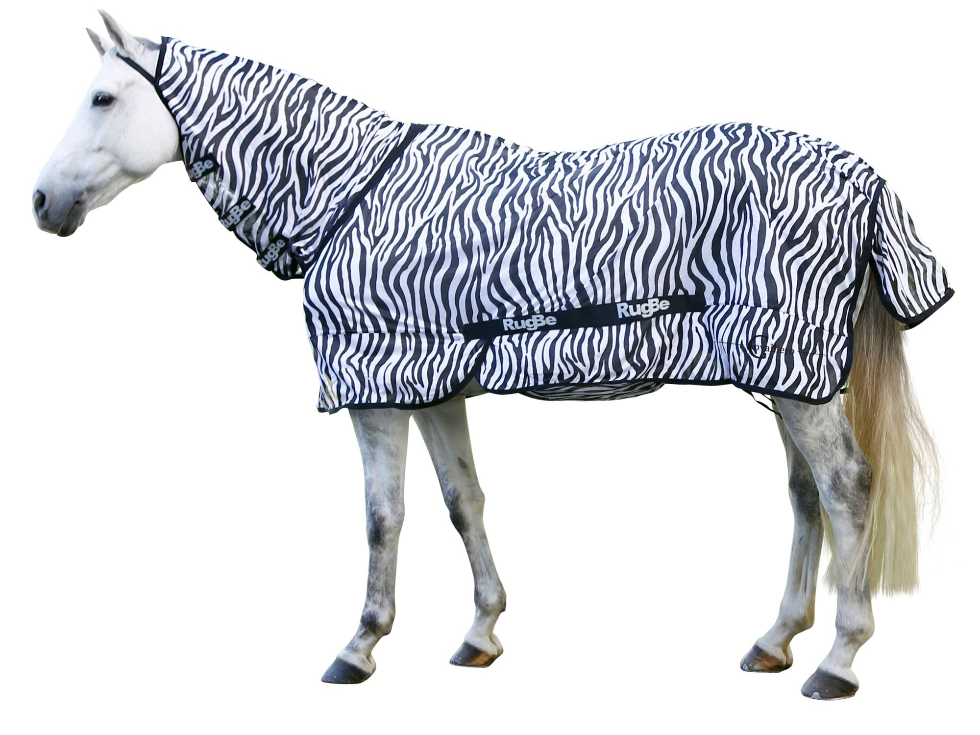 Fly Blanket Zebra incl. Neckpiece, 155 cm