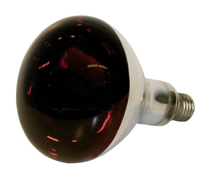 Kerbl hard glas infrared lamp 150 W, red