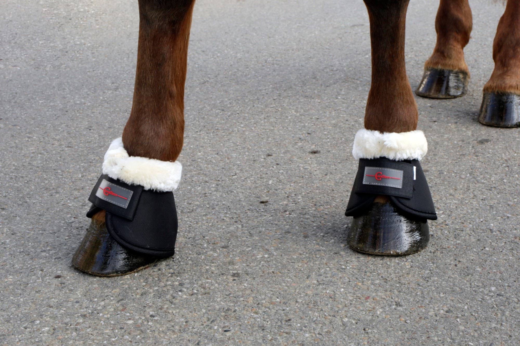 Bell Boots Teddy Fleece black Cob