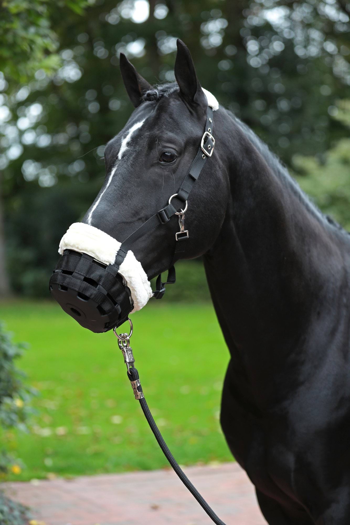 Намордник для коня Teddy Fleece, чорний, розмір Shetty, Covalliero