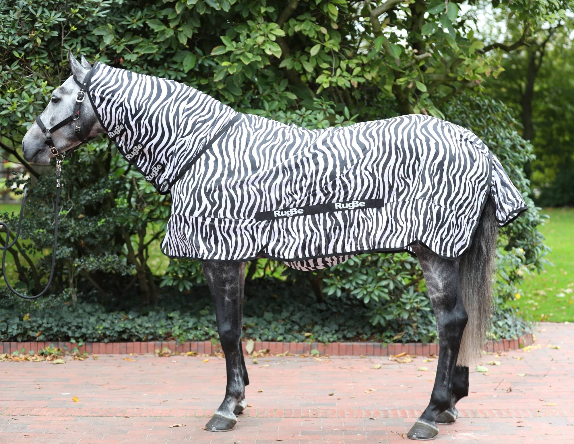 Fly Blanket Zebra incl. Neckpiece, 125 cm