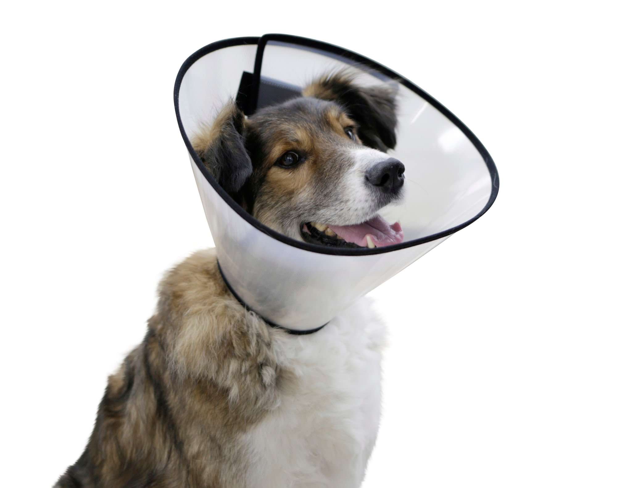Cone collar, 37 - 44 cm, 20 cm, Kerbl