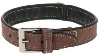 Ошейник для собак California, с пряжкой, коричневый, 32-38 см х 20 мм, Kerbl