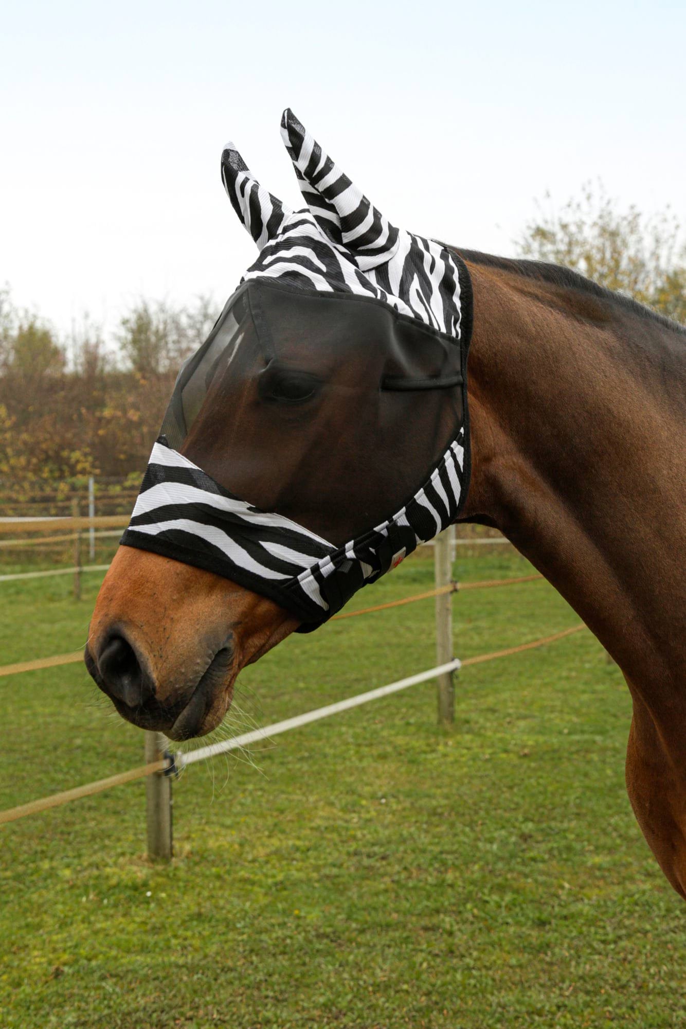 Fly Mask Zebra incl. Ear Protection, Full