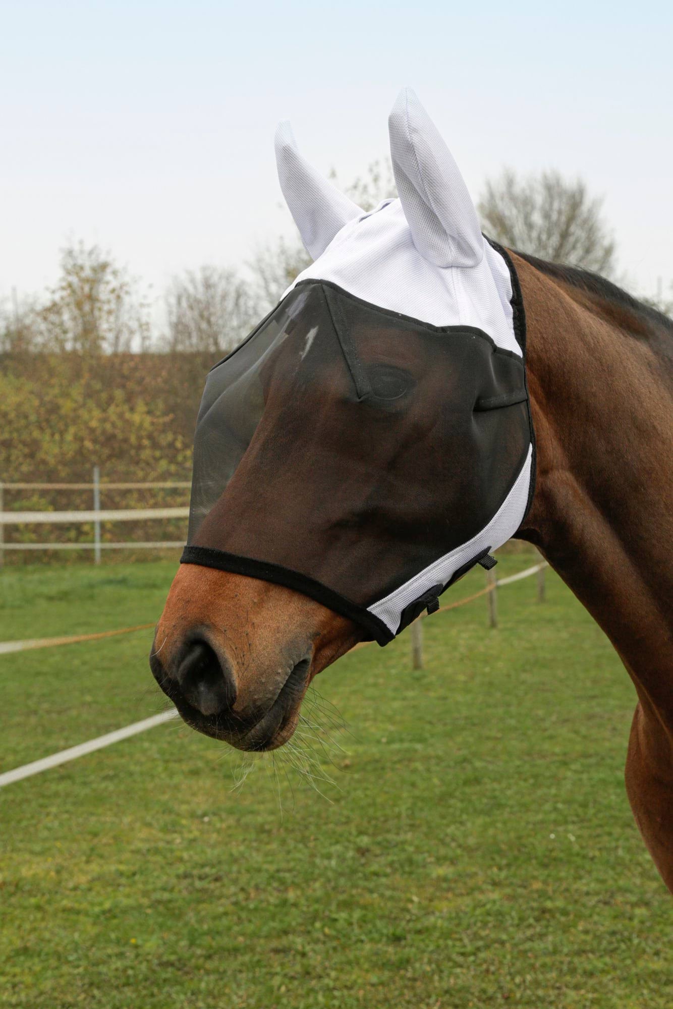 Fly Mask SuperFly incl. Ear Protection, Cob