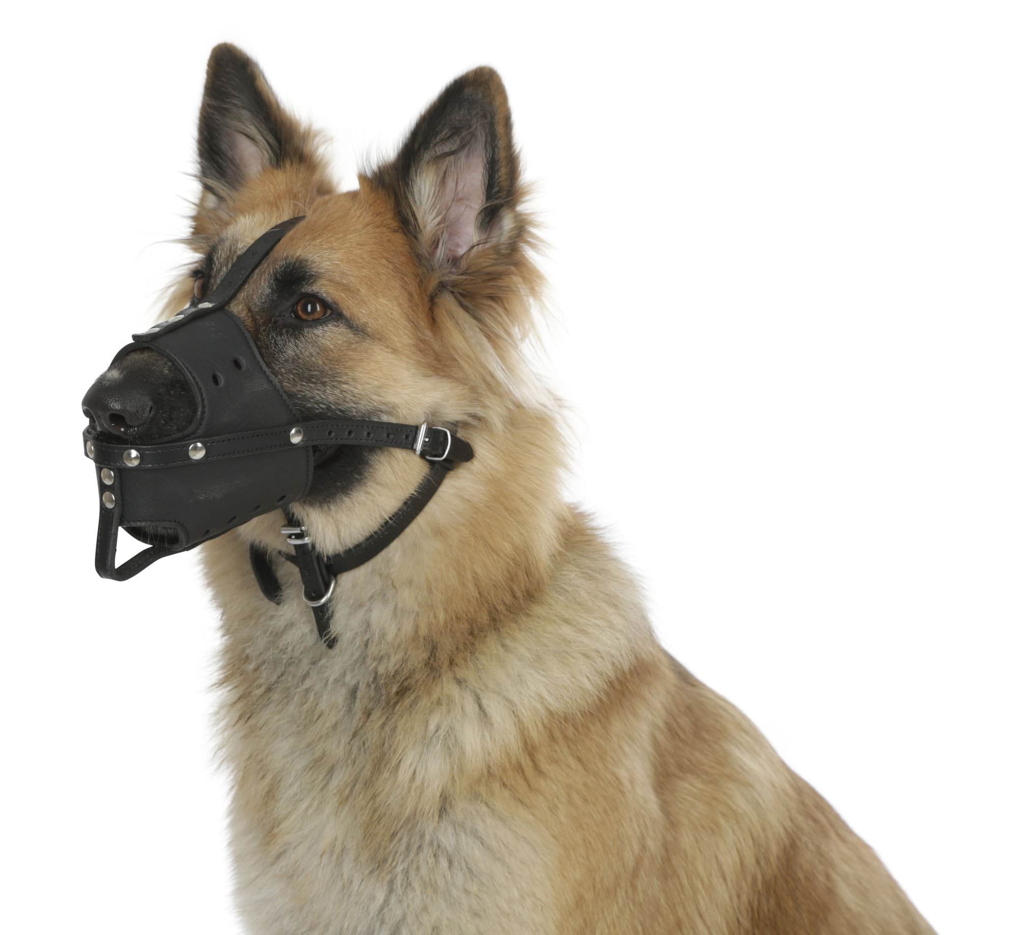 Dog leather muzzle, 38 cm x 11,5 cm, Kerbl