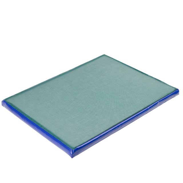 Disinfection mat, 100 x 90 x 4 cm, Canagri