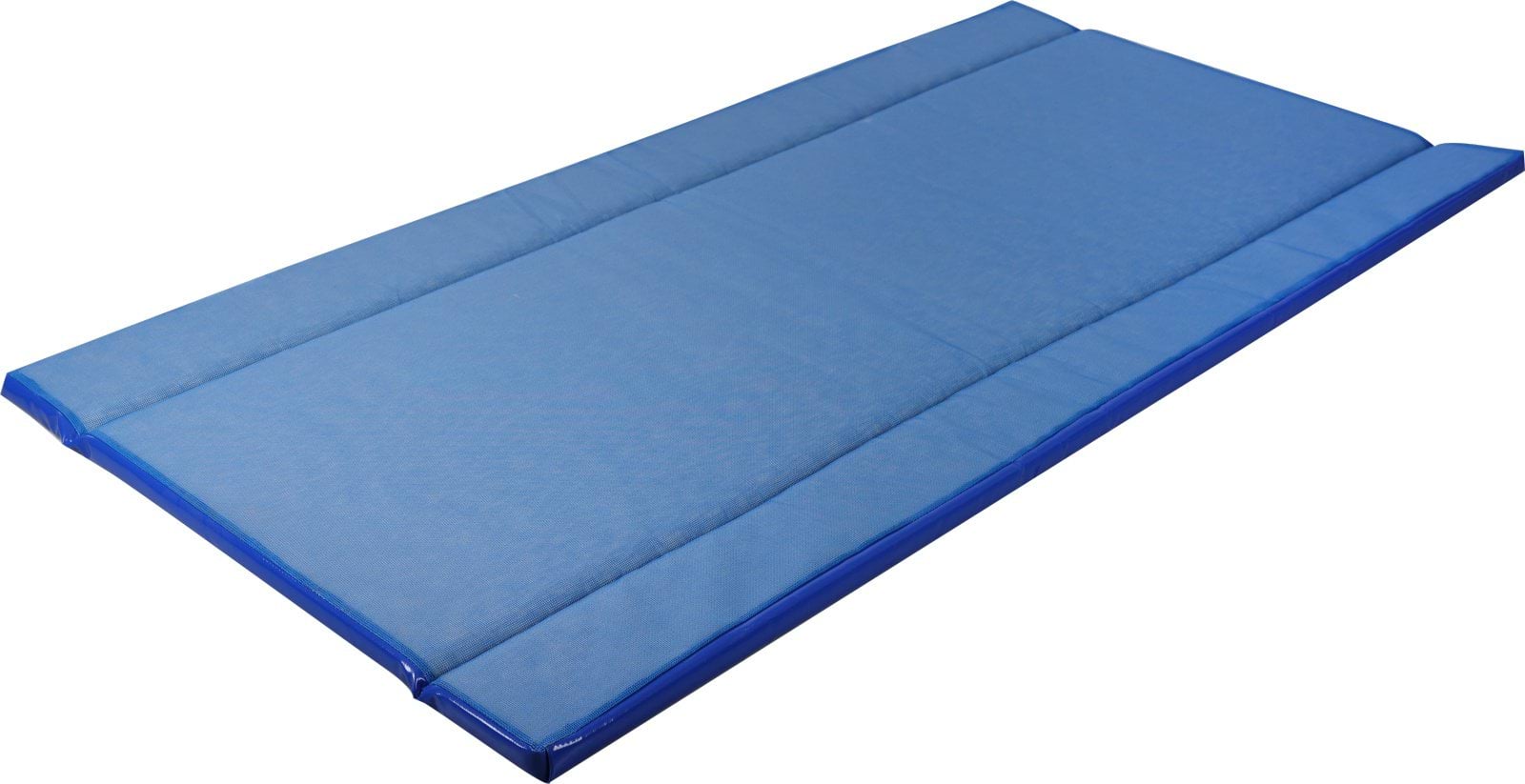 Disinfection mat Standard 180 x 90 x 4 cm