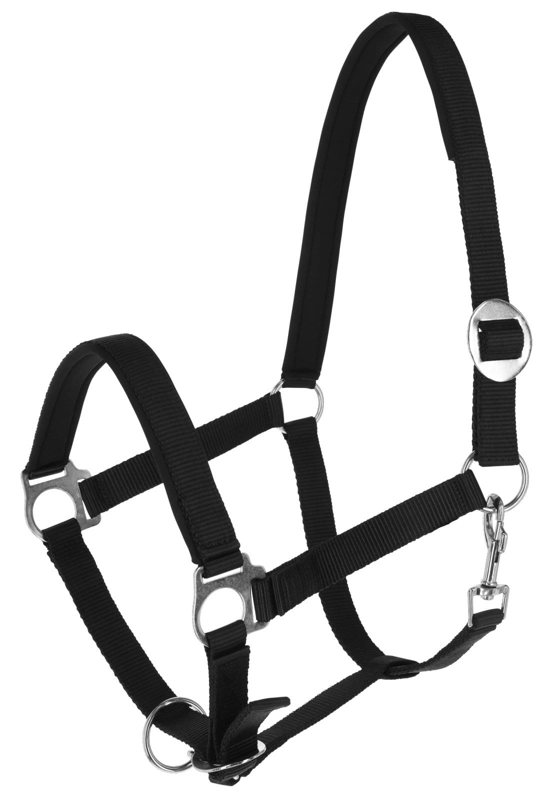 Halter Doria, black, Cob