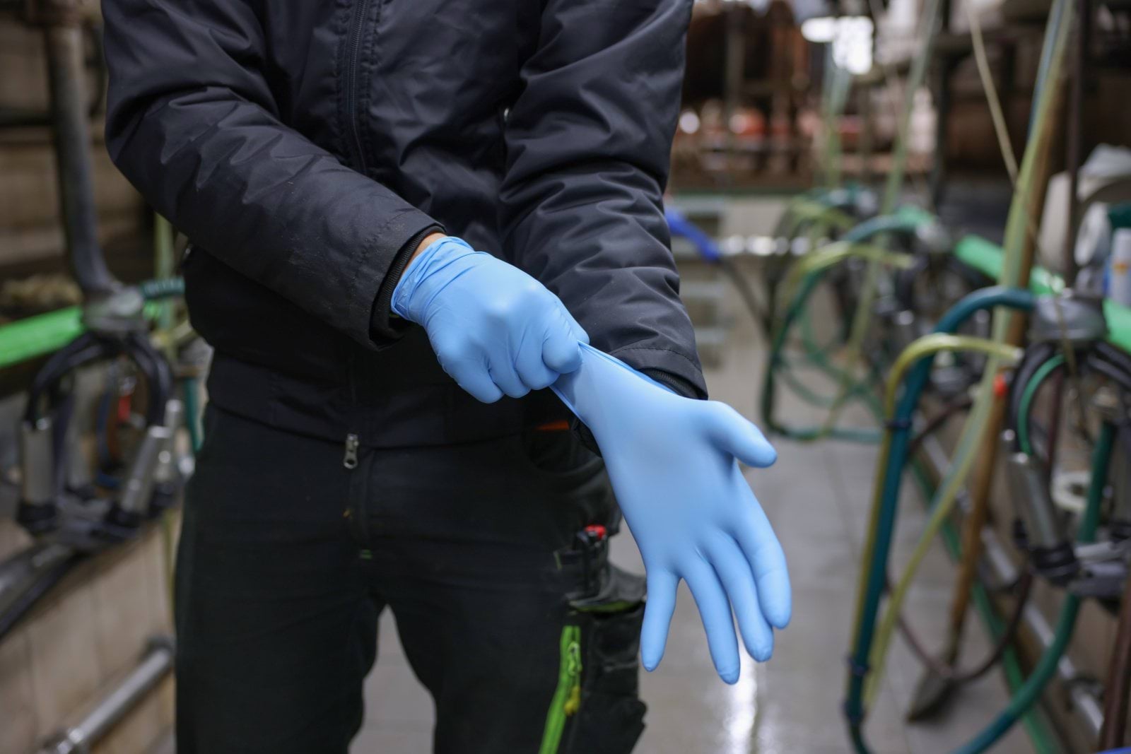 Перчатки одноразовые нитриловые Nitrile Premium Plus, синие, 50 шт, Kerbl