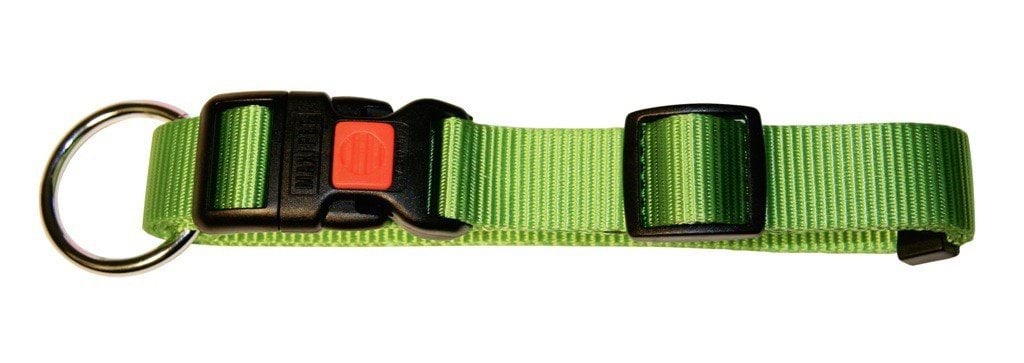 Dog collar Miami, 20 - 35 cm x 10 mm, green, Kerbl