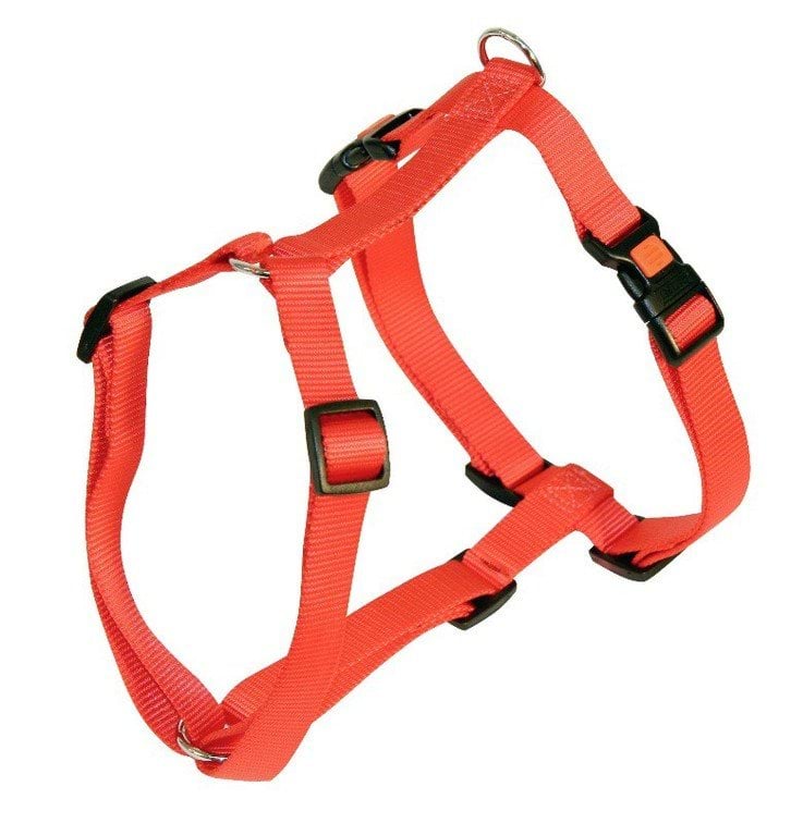 Dog harness Miami, 40 - 57 cm x 15 mm, red, Kerbl
