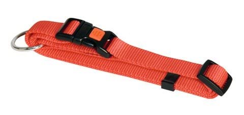 Dog collar Miami, 20 - 35 cm x 10 mm, orange, Kerbl