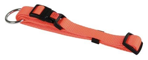 Dog collar Miami, 30 - 45 cm x 15 mm, orange, Kerbl