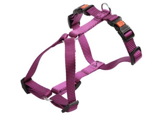 Dog harness Miami, 30 - 40 cm x 15 mm, purple, Kerbl