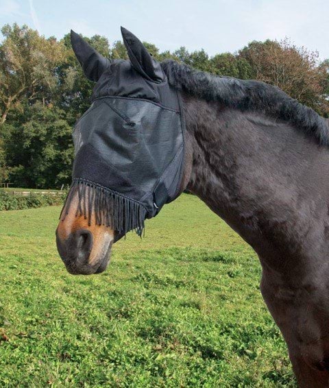 Fly mask cob, black, with ear protection/nostril cord