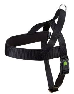 Miami Plus dog harness, black, Kerbl