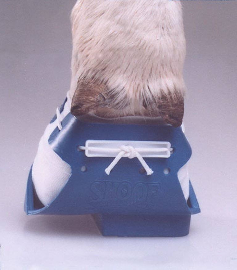 Claw shoe Shoof, right + left  type, lage, blue