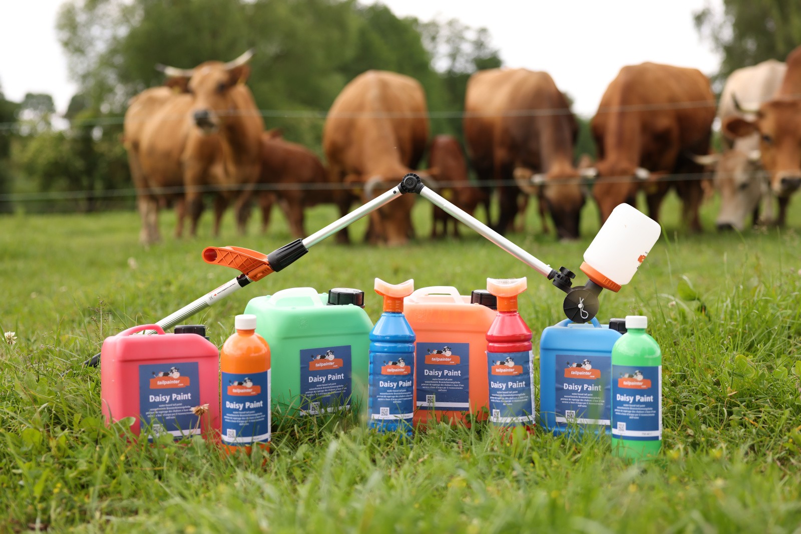 Daisy Heat Detection Paint, 750 ml–5 L, Kerbl