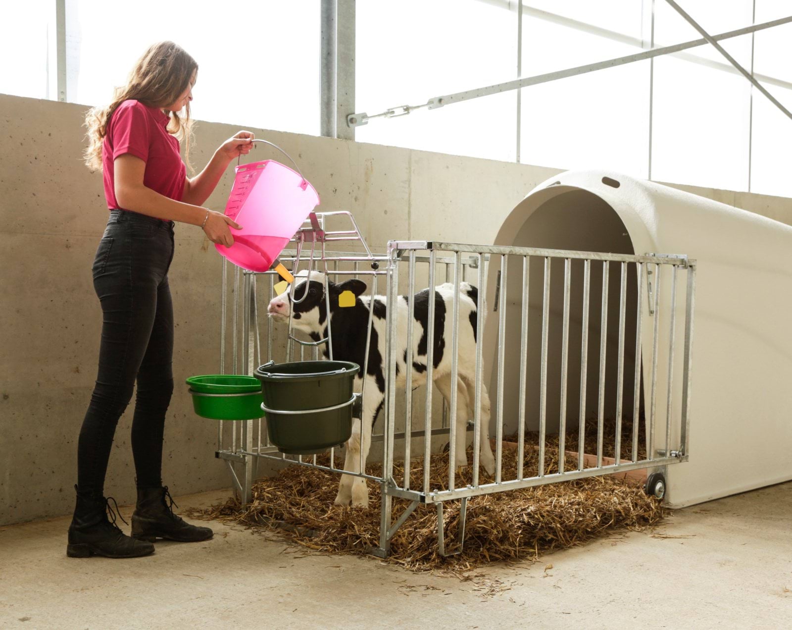 Содержание телят в домиках и боксах