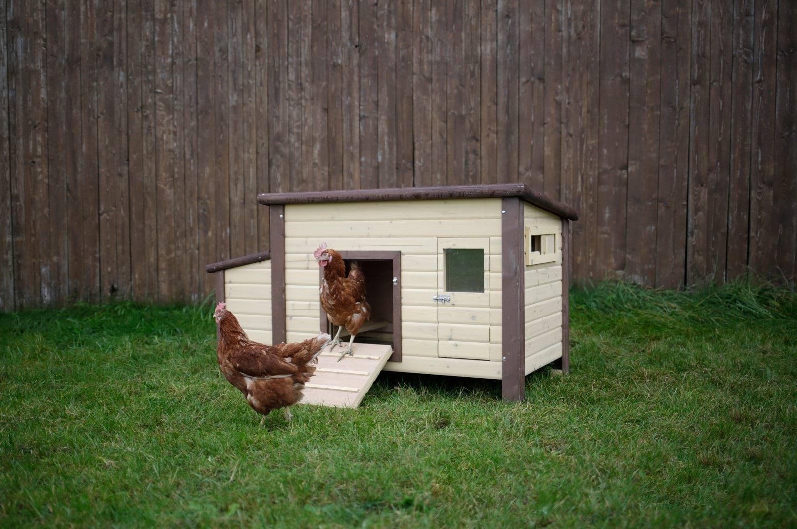 Термокурятник No Frost с обогревом