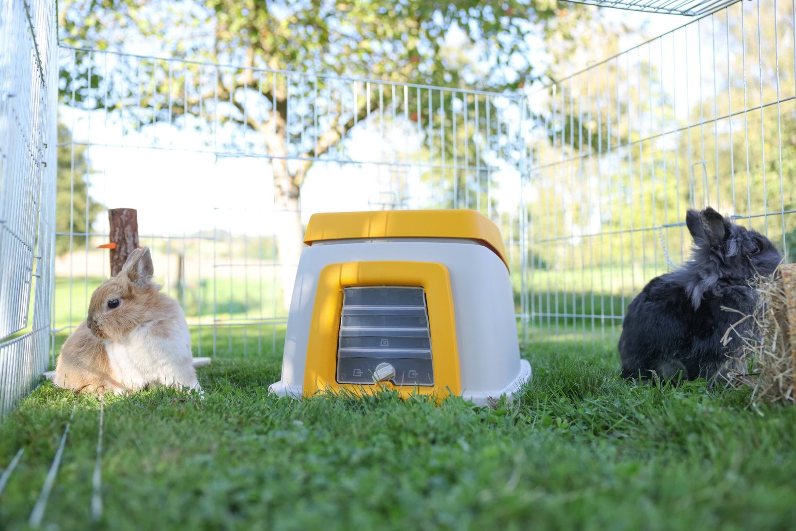 Домик для кроликов Bunny Base