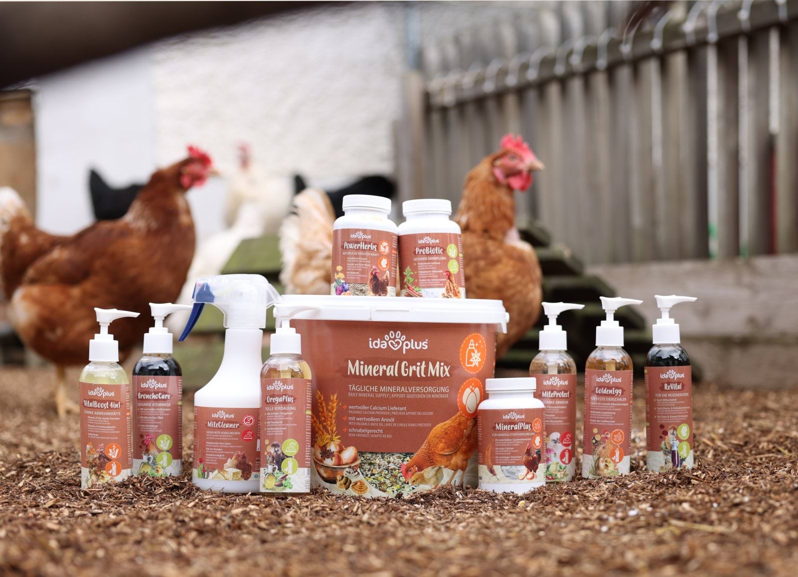 Добавка в рацион кур